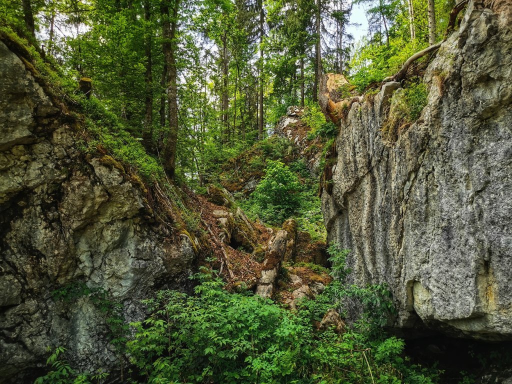 Klausenstein Höhlenpark Bezau