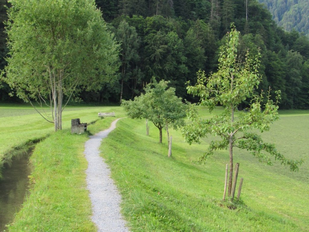 Spazierweg entlang am Mühlebach