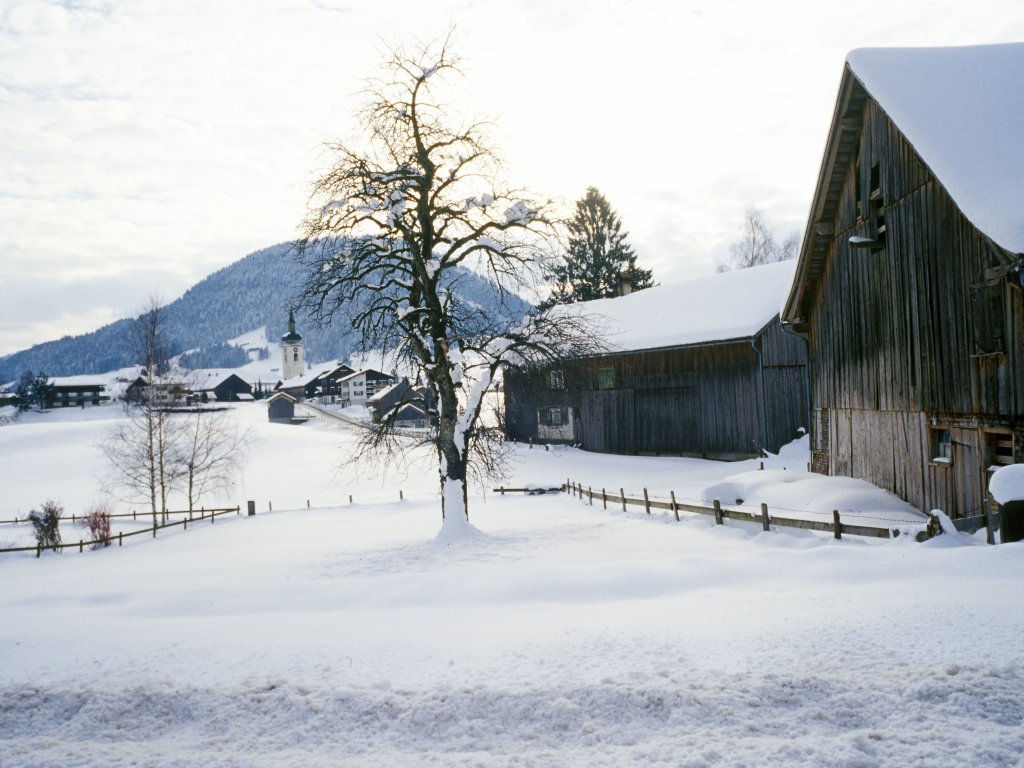Winter in Hittisau