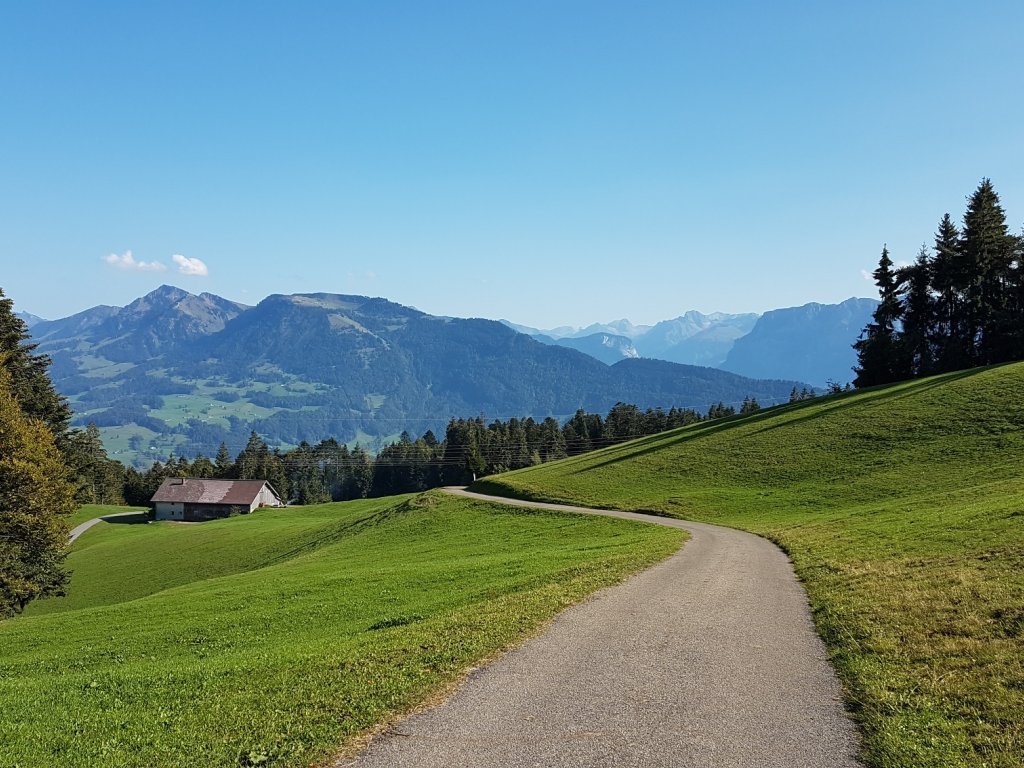 Blick in den Bregenzerwald vom Brüggelekopf