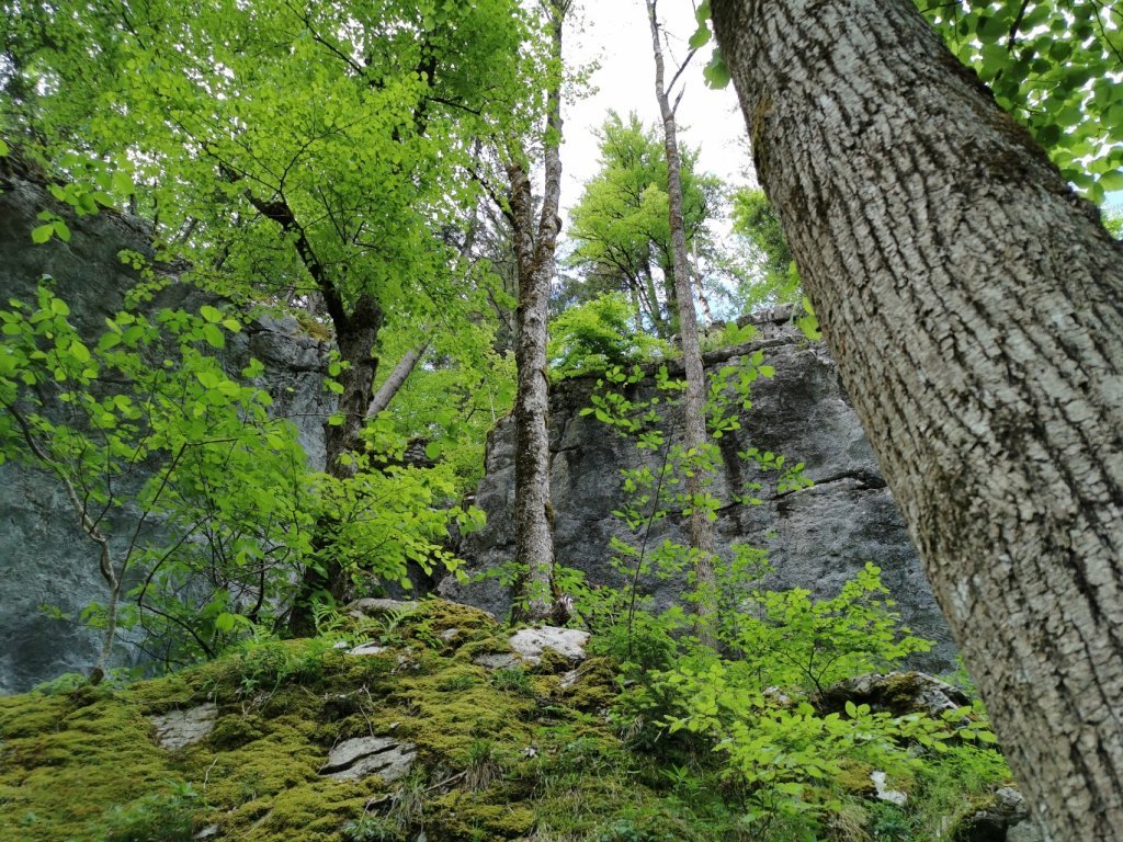 Höhlenpark Klausenstein