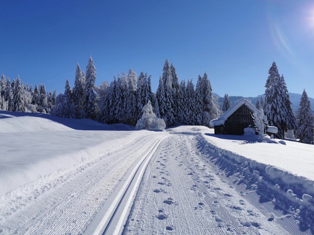 Winterwanderweg von Sibratsgfäll nach Schönenbach