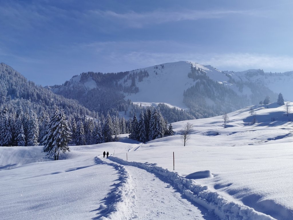 Schöner Winterwanderweg in Schetteregg