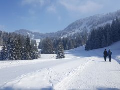 Bestens präparierter Winterwanderweg Hochhäderich