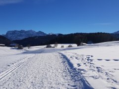Winterwanderweg Angelikahöhe