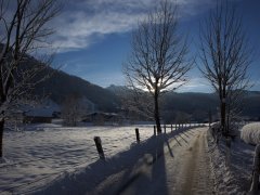 Andelsbuch | Winterwanderweg
