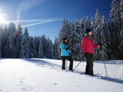 Winterwanderer im Bregenzerwald