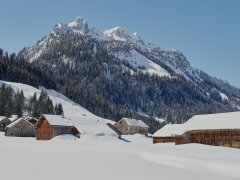 Schönenbach im Winter